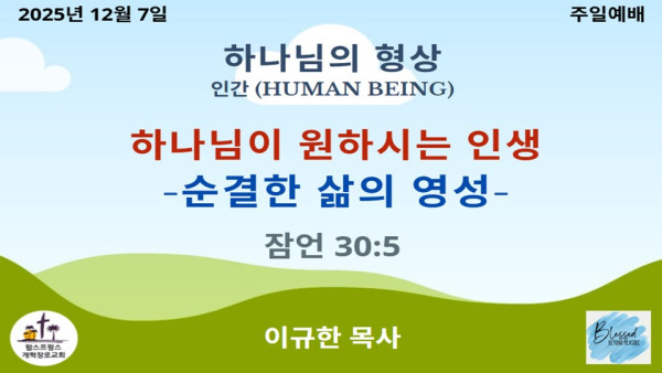 1277167239_l9t6zXbj_9f9be824a92b6385f5adf9d1dc5caff6b054beb2.JPG